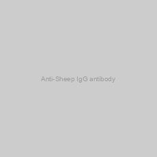 Image of Anti-Sheep IgG antibody
